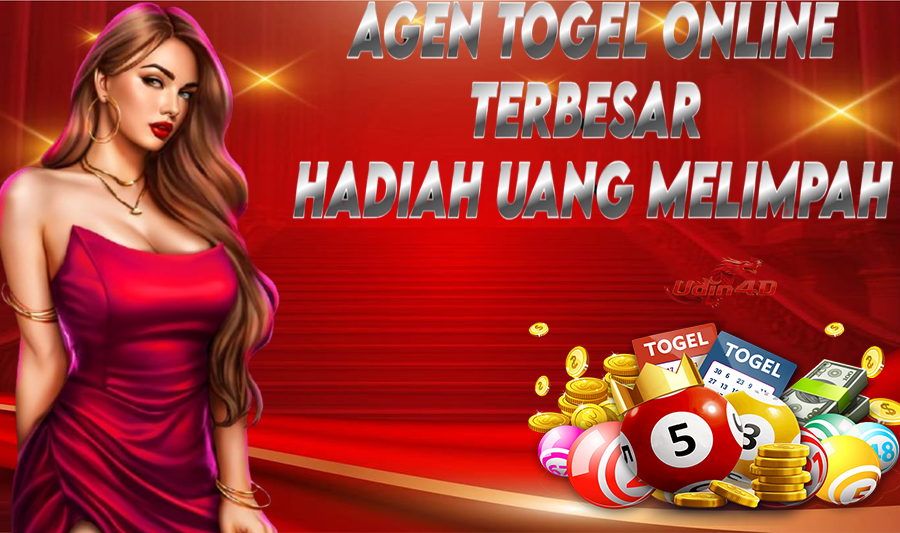 BANNER-UDIN4D